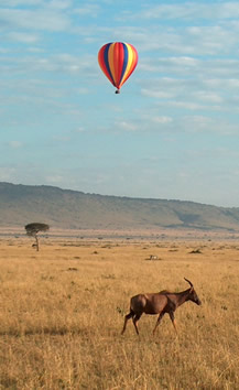 Masai Mara, Kenya Masai Mara Travel, Balloon Safaris, hot air balloon kenya, kenya safari, kenya travel, serengeti, wildebeest migration, about balloons, about kenya